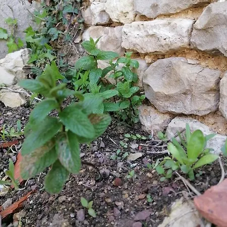 Appartamento 2 à 4 Personnes Dompierre-sur-Mer