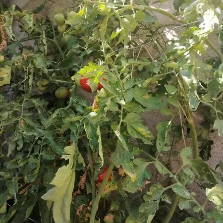 2 à 4 Personnes * Dompierre-sur-Mer