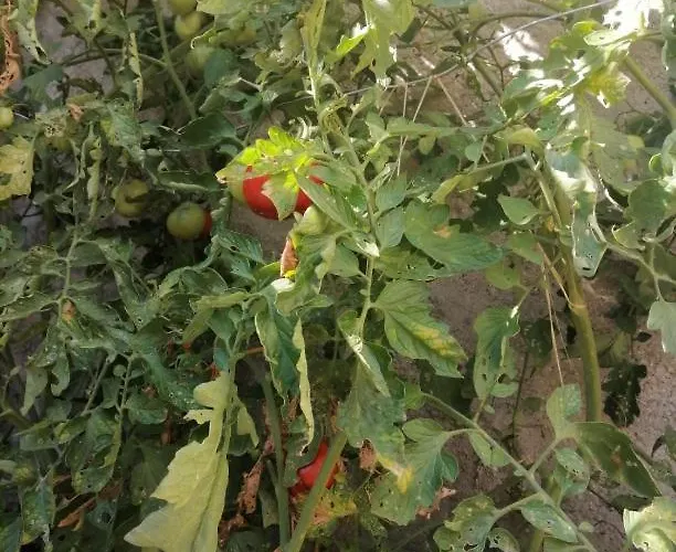 2 A 4 Personnes * Dompierre-sur-Mer